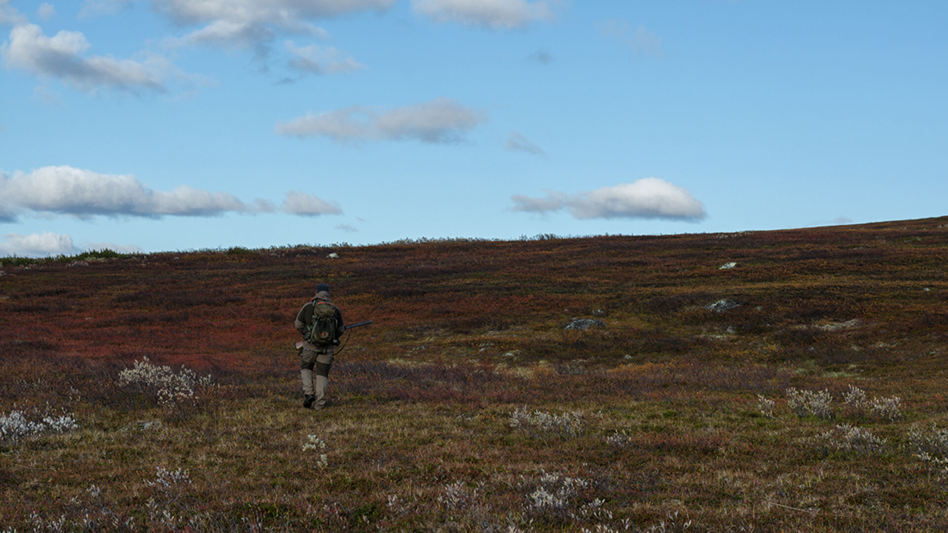 Norwegen – Skandinaviens (R)auer Norden